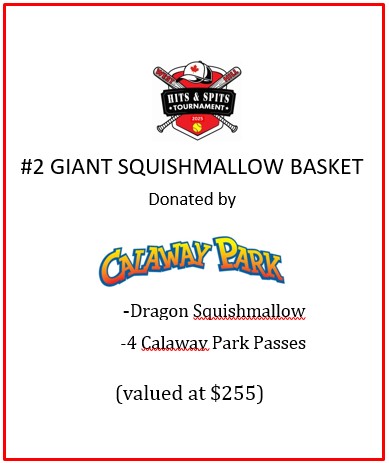 2025_raffle_basket_glamorgan_2_squishmallow 2025_raffle_basket_glamorgan_2_squishmallow